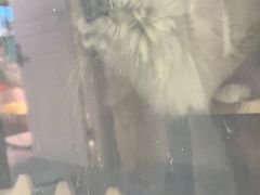 -零纪元VR体验馆·桌游(黄浦店)