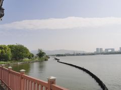 -上海市保健医疗中心