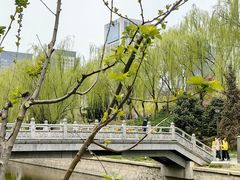 -元大都城垣遗址公园