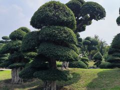 -济南国际园博园