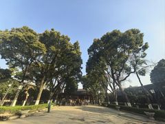 -南京中国近代史遗址博物馆(南京总统府)