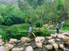 -白水寺森林公园
