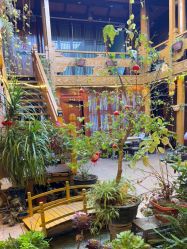 -小红帽摄影(丽江店)