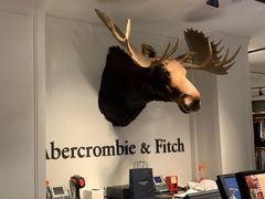 -Abercrombie & Fitch(三里屯太古里店)