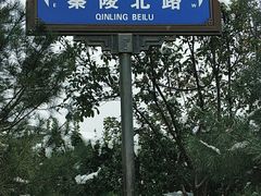-秦始皇帝陵博物院(兵马俑)
