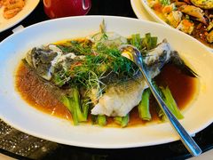 清蒸笋壳鱼-新南华大酒店(长寿店)