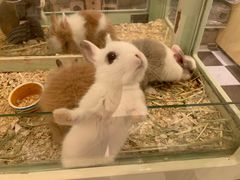 -龙猫仔乐园(惠福东路店)