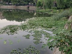 -雨湖公园