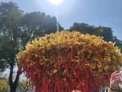 -狼山风景名胜区