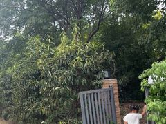 -艾溪湖湿地公园