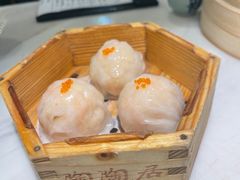 -陶陶居酒家(解放北路店)
