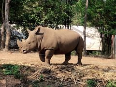 -清迈夜间动物园