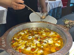 -雲蜀龙阁·金牌水煮鱼(方庄店)