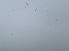 -ChanDu躔度咖啡(灯塔店)