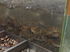 -金滏山烤肉·海鲜·火锅自助餐厅(襄阳万达店)