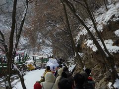 -少华山国家森林公园