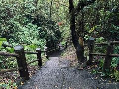 -海口火山口国家地质公园