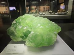 -湖南省地质博物馆