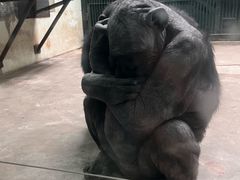 -石家庄市动物园