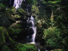 -藏龙百瀑风景区