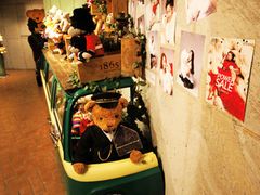 -济州岛泰迪熊博物馆