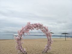-玫瑰海岸文化旅游度假区