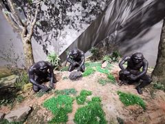 -北京周口店北京人遗址博物馆