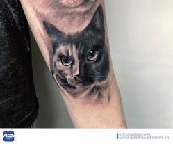 -MDZ STORE·TATTOO·耳饰