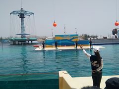 -秦皇岛乐岛海洋王国