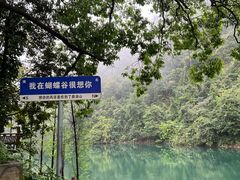 -鼎湖山风景区