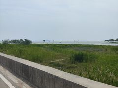 -巢湖姥山岛