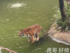 -杭州动物园