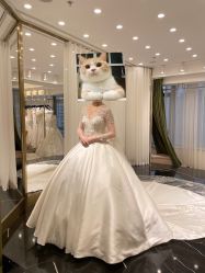 -拉瑞娜LaReine婚纱礼服高级定制