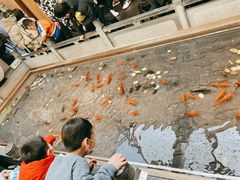 -四季民福烤鸭店(前门店)