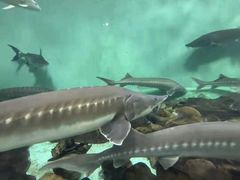 -太平洋海底世界