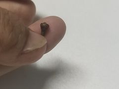 -书亦烧仙草(航海广场店)