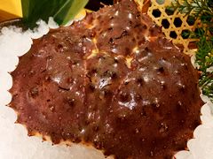 -吟松日式料理(莘庄店)