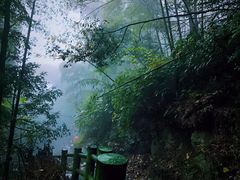 -藏龙百瀑风景区