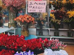 -曲阳花鸟市场(曲阳路店)