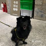 来看延平路吴磊🙋♀️