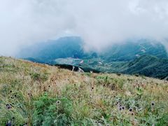 -白草畔自然风景区