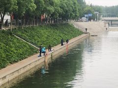 -永定河休闲森林公园