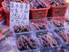 -呈贡滇池生态湿地公园