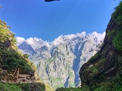 -蘑统田下·野生菌火锅