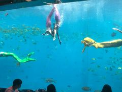 -瑞德姆美人鱼海底演艺主题餐厅(亚龙湾店)