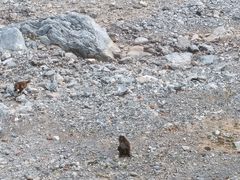-北京上方山国家森林公园
