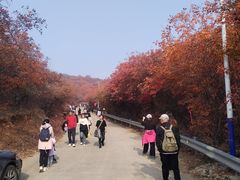 -水库活鱼馆(于桥水库店)