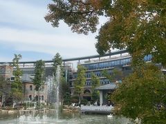 -金陵中学(河西分校)