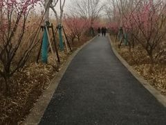 -广富林郊野公园