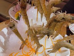 -尚海豆捞(乐虹坊店)